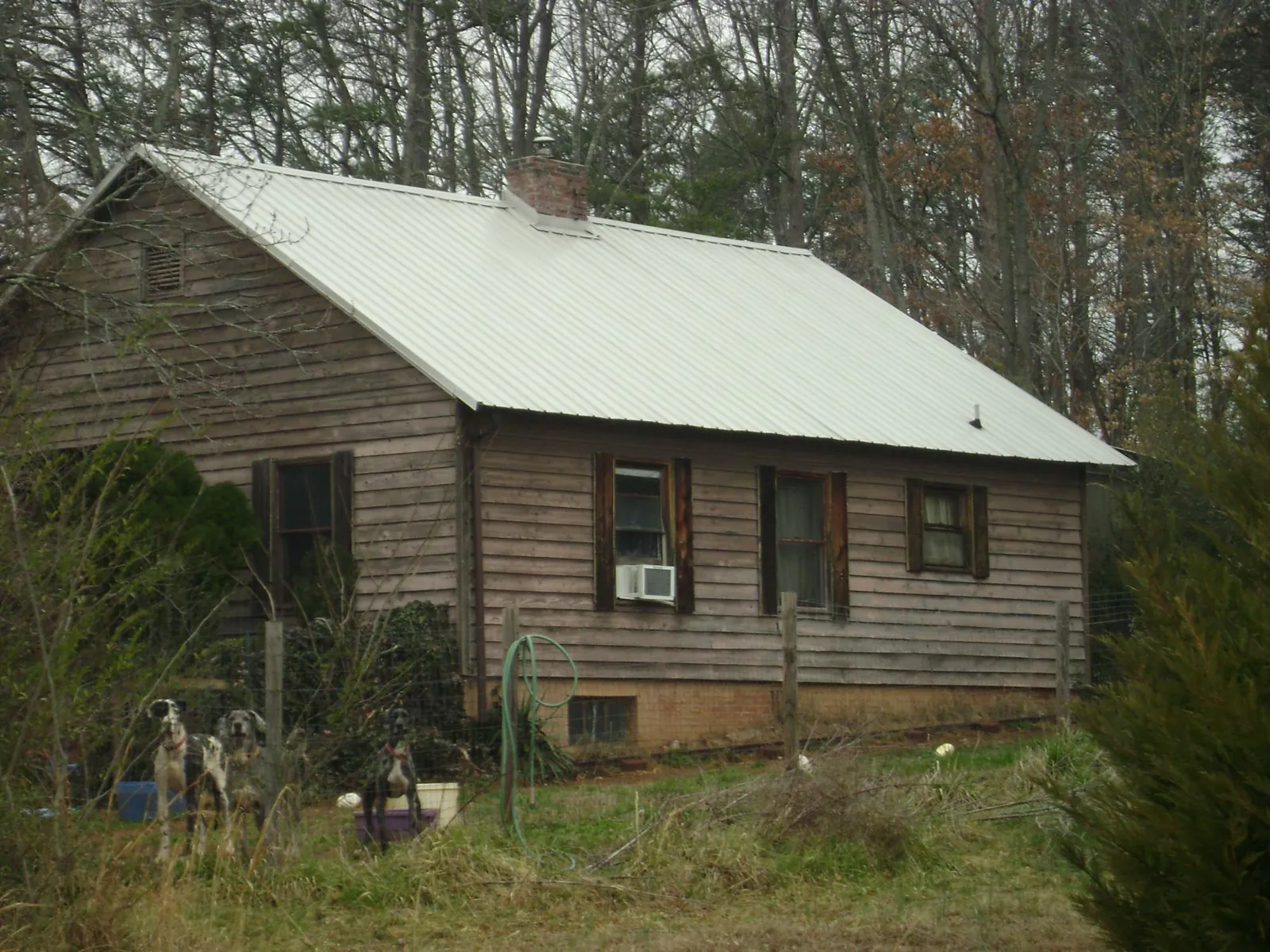 White metal roof on an old wood sided farmhouse, from a Asphalt Shingle Roof Repair job in Beaman